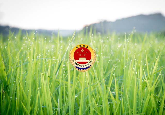 內(nèi)蒙古自治區(qū)武川縣人民檢察院內(nèi)網(wǎng)